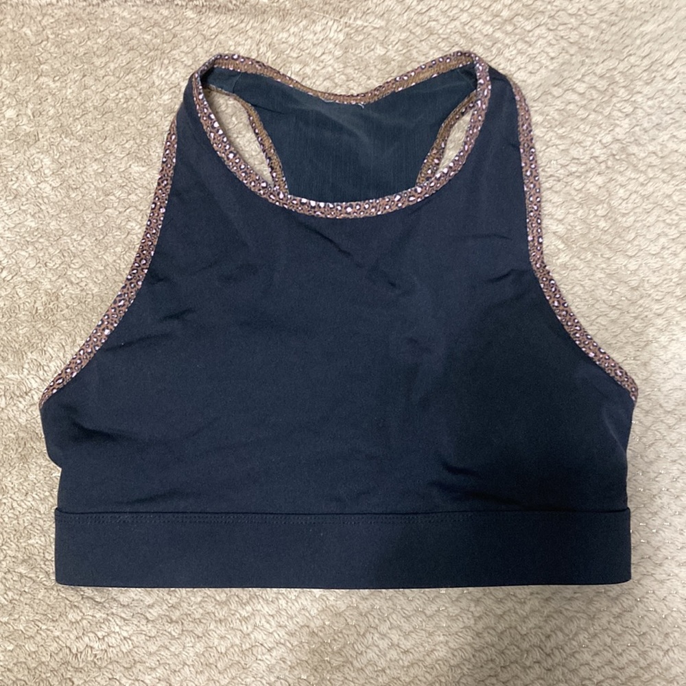 Fabletics sports bra